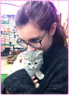 Chat Romantique - Strady