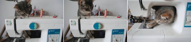 DIY So Sweat Wonderland - 09