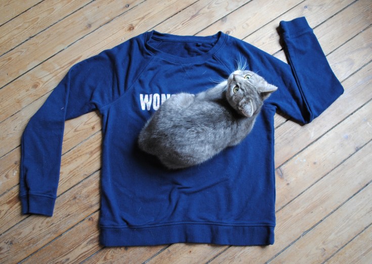 DIY So Sweat Wonderland - 13