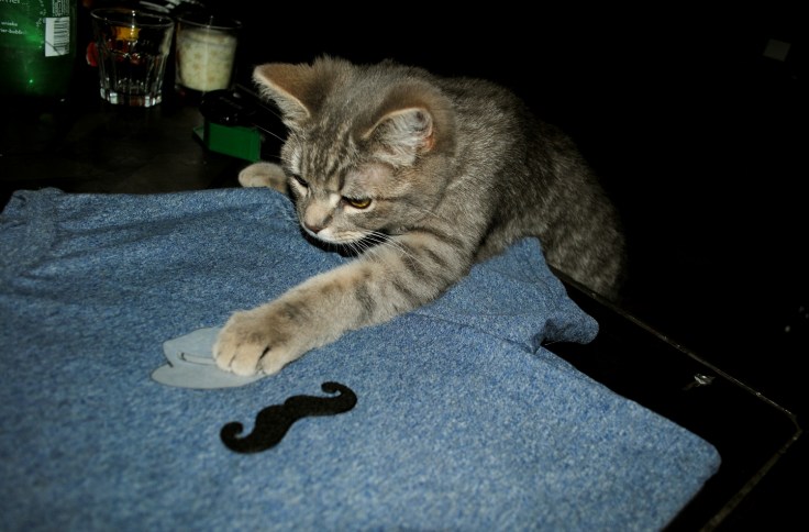 DIY T-shirt Moustache Panama - 14