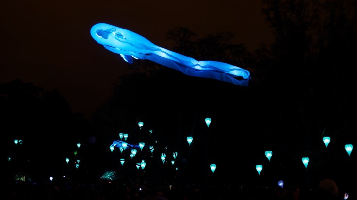 Fete des lumieres Lyon - 19 Parc De La Tete d'Or
