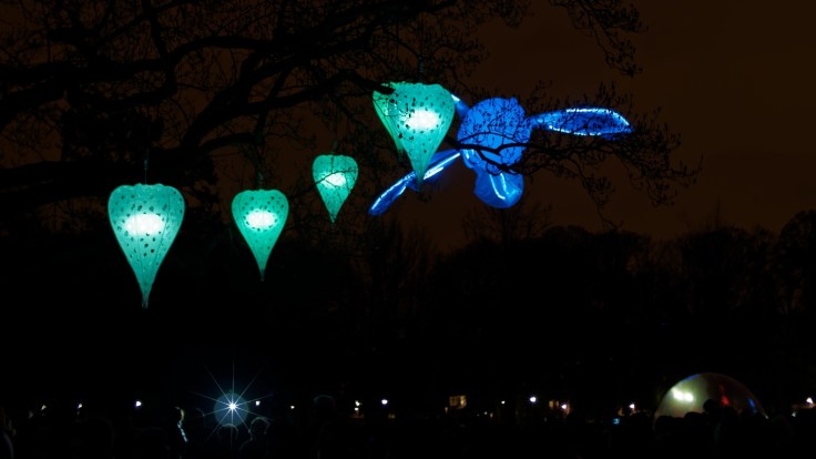 Fete des lumieres Lyon - 20 Parc De La Tete d'Or