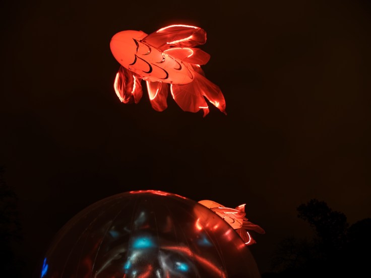 Fete des lumieres Lyon - 21 Parc De La Tete d'Or
