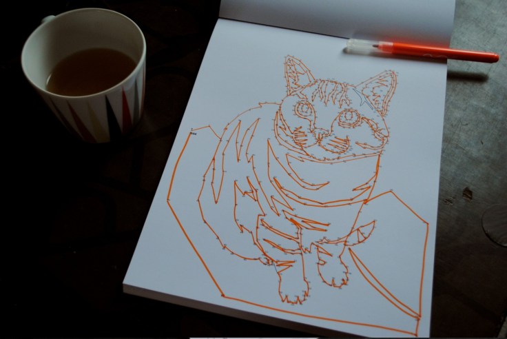 Les chats points a points K Naye 03