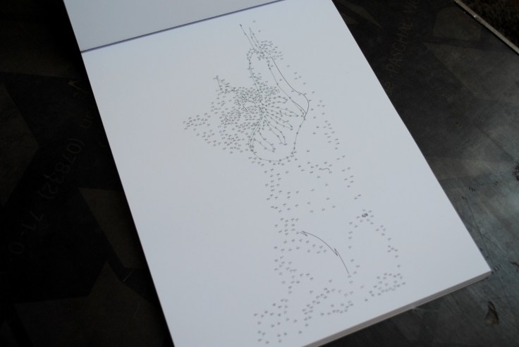 Les chats points a points K Naye 04