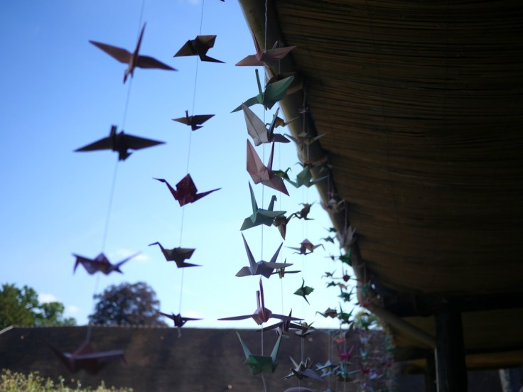 Photo Pierre Caudevelle