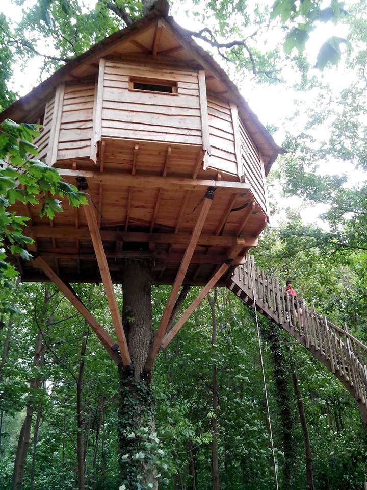 Cabanes dans les arbres Raray 01