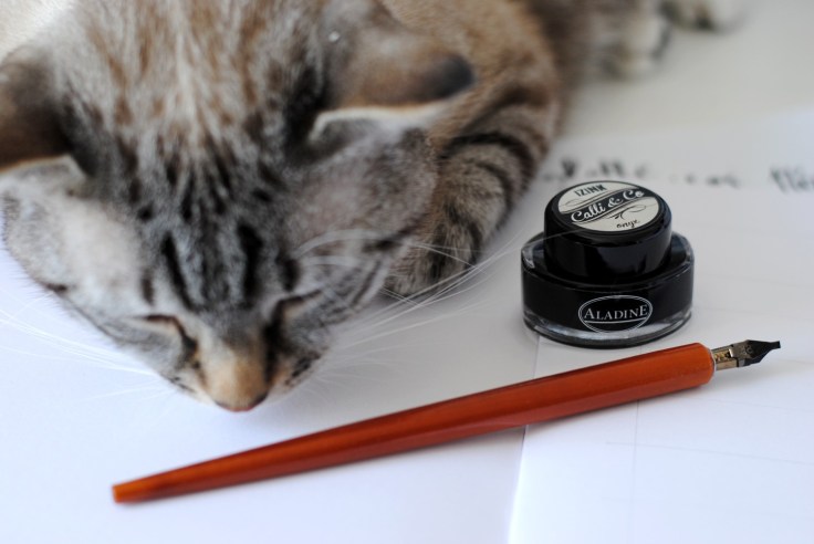 Calligraphie Aladine 01