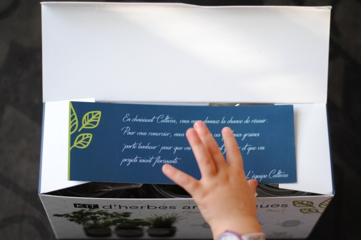 Cultivea Kit pret a pousser 02