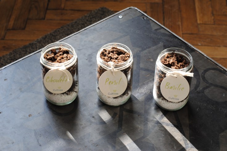 Cultivea Kit pret a pousser 04