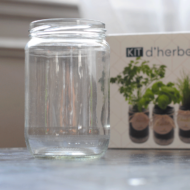 Cultivea-Kit-pret-a-pousser-GIF