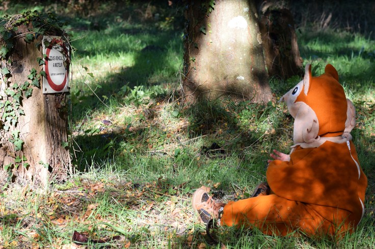 Deguisement ecureuil bebe halloween 01