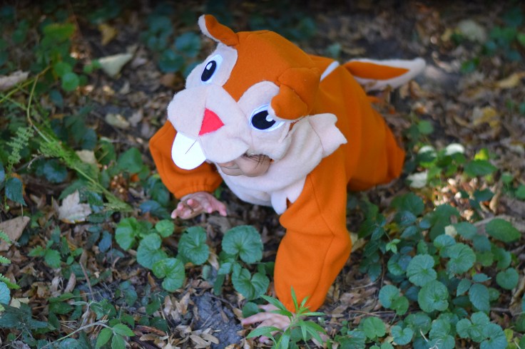 Deguisement ecureuil bebe halloween 06