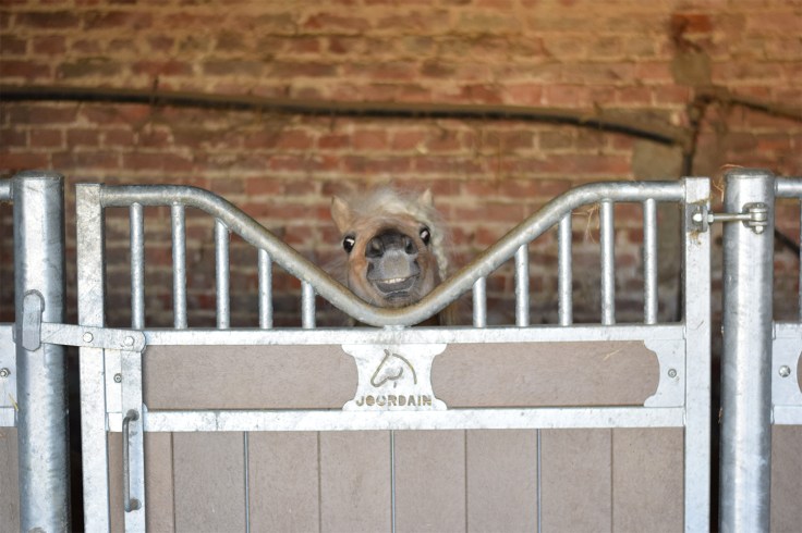 Compiegne Ferme de bouriquette 01