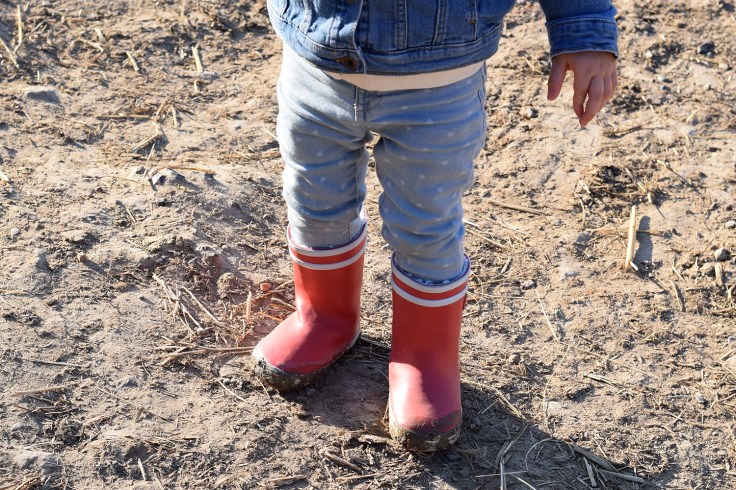 Compiegne Ferme de bouriquette 06