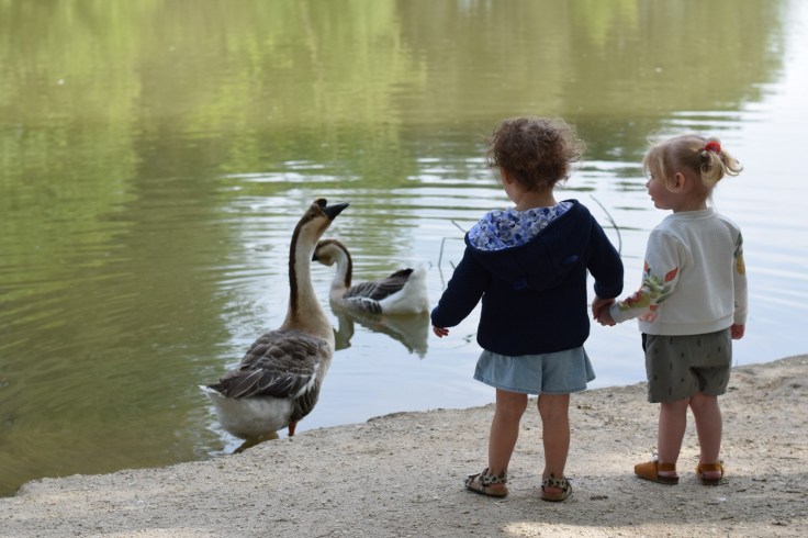 Activites Center Parcs Hauts de Bruyeres balade au bord du lac