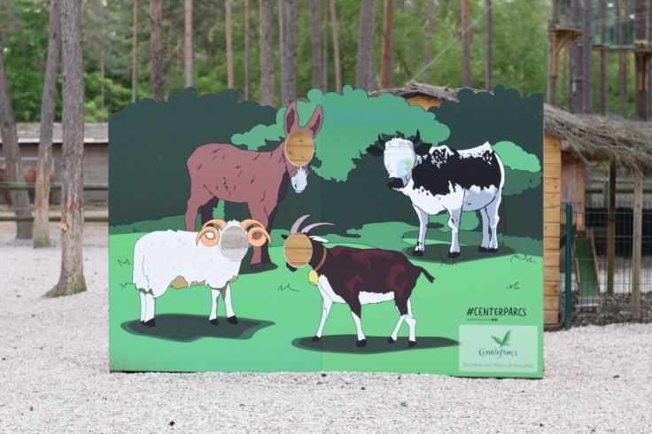 Activites Center Parcs Hauts de Bruyeres ferme 01