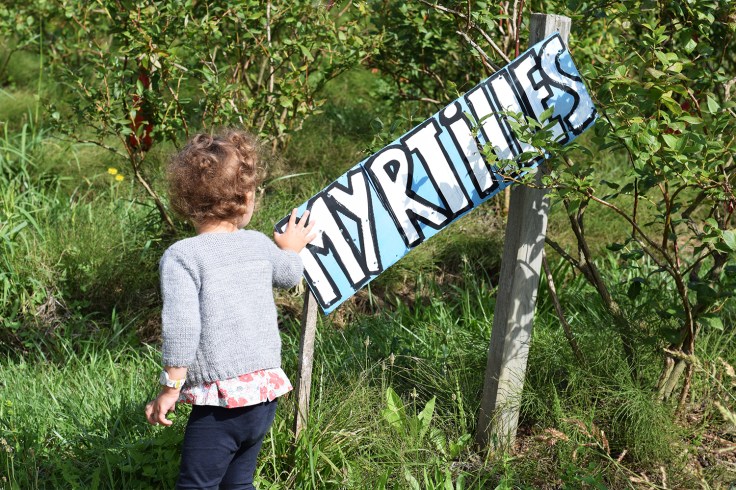 Cueillette fruits legumes enfant jardins montplaisir oise 03