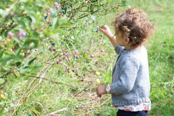 Cueillette fruits legumes enfant jardins montplaisir oise 04