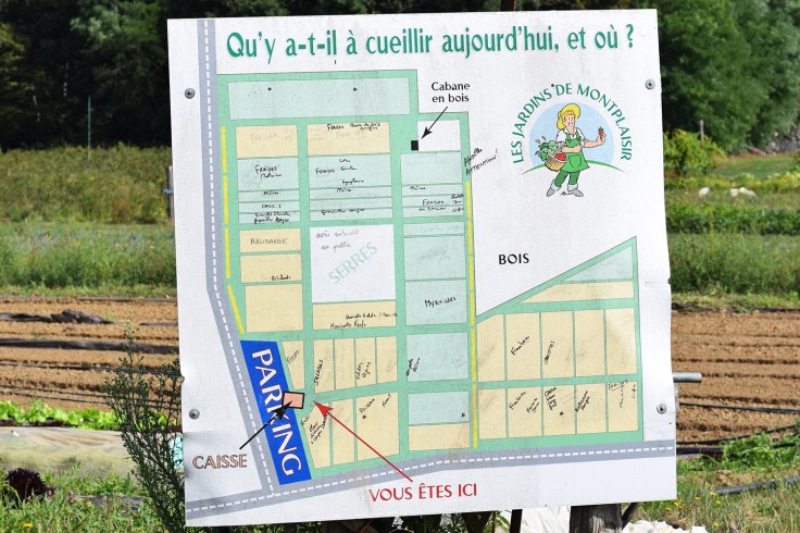 Cueillette fruits legumes enfant jardins montplaisir oise 07